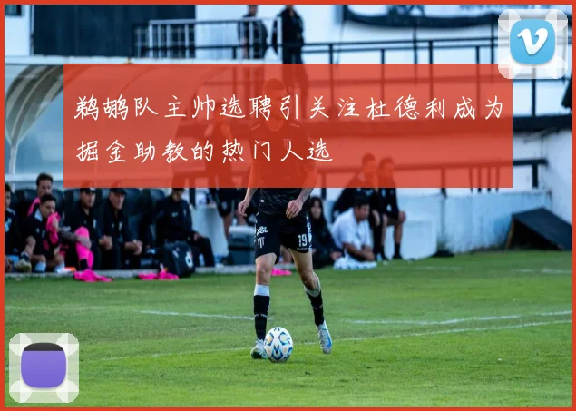 鹈鹕队主帅选聘引关注杜德利成为掘金助教的热门人选